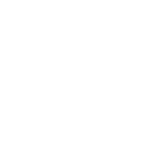 Padel Pro India Logo